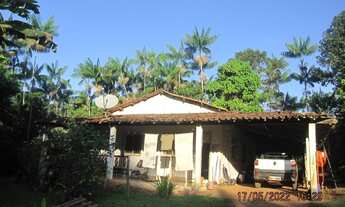 Imagem 15: Fazenda em Nilo Peçanha