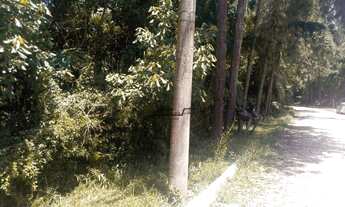 Imagem 6: Área - Travessa da Índio Tibiriça