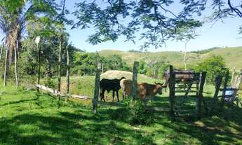 Imagem 5: Itaboraí - Área Rural - Linda Fazendinha!