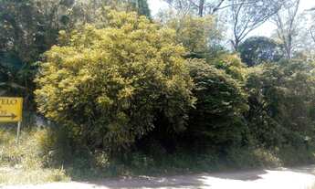 Imagem 4: Área - Travessa da Índio Tibiriça