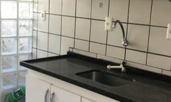 Imagem 7: Lindo apto 02 dorms, sala, wc, área e vaga / Jardim Maristela / R$ 250 mil