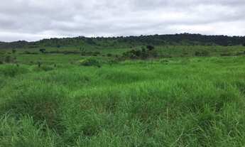 Imagem 3: FAZENDA VALE DO BOI APTDÃO PECUARIA