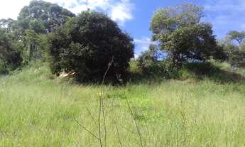 Imagem 3: EXCELENTE TERRENO DE 20 MIL M2 PARA EMPREENDIMENTO OU CHÁCARA