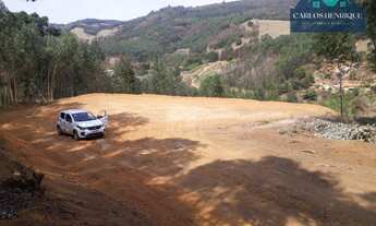 Imagem 5: Área à venda, 10000 m² por R$ 115.000,00 - Pitangueiras do Meio - Pedra Bela/SP