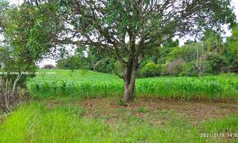 Imagem 2: Sítio de 02 alqueires em Tatuí - SP