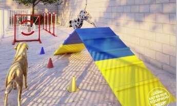 Imagem 3: GRANDE OPORTUNIDA 2 QUARTOS EM PAULISTA