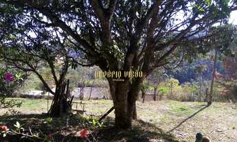 Imagem 6: Lote com 3.038m² à venda em Ouro Fino - Suzano-SP