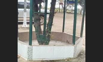 Imagem 6: Chácara para venda na divisa entre Brasília e Santo Antônio do Descoberto Goiás