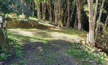 Imagem 3: Fazenda/Sítio/Chácara para venda em São José dos Pinhais PR