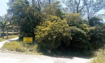 Imagem 2: Área - Travessa da Índio Tibiriça