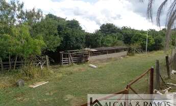 Imagem 5: Sítio para venda possui 250 metros quadrados com 3 quartos