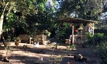 Imagem 5: Excelente casa em terreno de 10x76