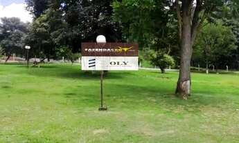 Imagem 6: Oportunidade ! Terra com 6 alqueires no município de Silvania !