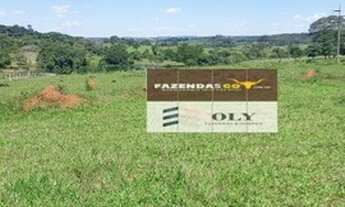 Imagem 4: Fazenda Extra - 8 Alqueires - Região de Goianira - GO !