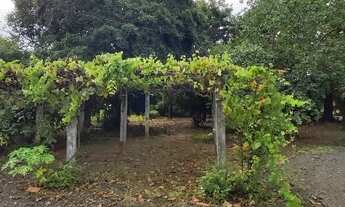 Imagem 3: Chácara à venda, 2150 m² por R$ 530.000,00 - Campestre - Piracicaba/SP