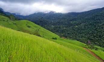 Imagem 6: Fazenda/Sítio/Chácara para venda possui 169400 metros quadrados com 5 quartos