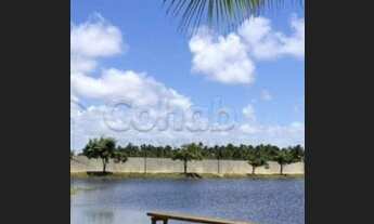 Imagem 3: Lote no Lago Paranoá- Mosqueiro