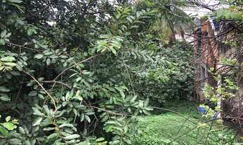 Imagem 5: Terreno 588 metros Centro Austin