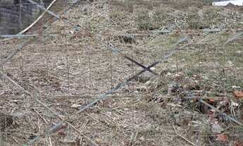 Imagem 5: TERRENO VENDA EM TABOÃO DA SERRA