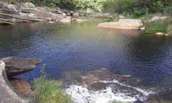 Imagem 2: Fazenda de 122 ha, nascente de água cristalina (Temos varias opções)