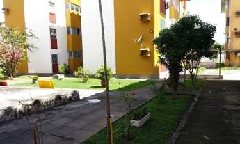 Imagem 3: Vendo ótimo apartamento com 3 quartos no Bairro da Caxangá / Recife