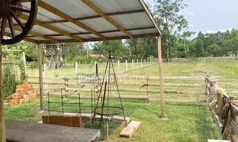 Imagem 5: Pandolfo Vende sítio no Guaíba Country