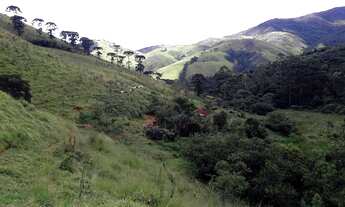 Imagem 6: Fazenda/Sítio/Chácara para venda com 411400 metros quadrados com 2 quartos