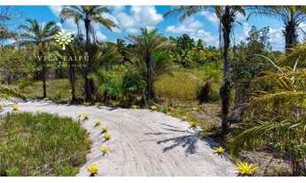 Imagem 6: Lotes em Taipu de Dentro - À partir de R$80.000,00