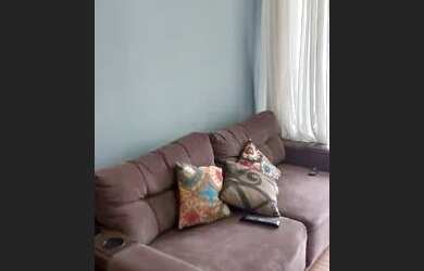 Imagem 4: APARTAMENTO - VILA ANASTÁCIO - SP