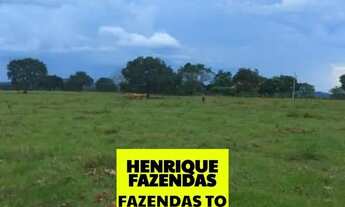 Imagem 2: Fazenda em Goianorte dupla aptidão no Tocantins
