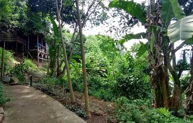 Imagem 2: Sítio agroflorestal no Recreio dos Bandeirantes