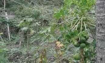 Imagem 7: Vendo Excelente Casa Duplex - Joá - São Conrado