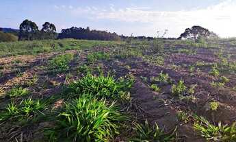 Imagem 6: Lote/Terreno para venda com 500 metros quadrados em Atibaia Belvedere - Atibaia - SP
