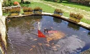 Imagem 3: Fazenda com 92 alqueires à venda em Amparo- SP