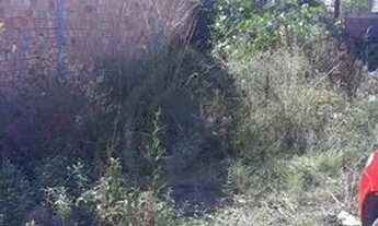 Imagem 2: Terreno em Restinga