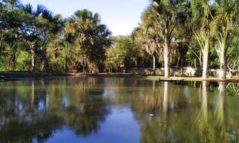 Imagem: Excelente chácara com 2 tanques de peixe