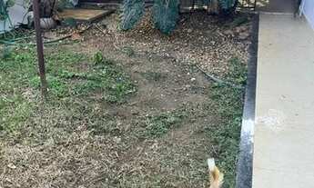 Imagem 2: Casa no Porto Velho / Divinópolis 4 quatros