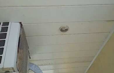 Imagem 3: Alugo casa padrão