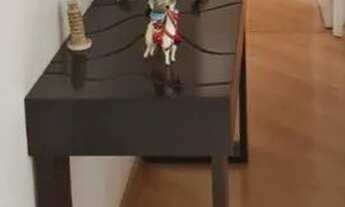 Imagem 6: Apartamento no Jaguaré, lazer completo, 2 quartos (1 suíte), 1 vaga