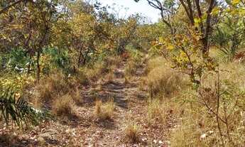 Imagem 6: . Uma Fazenda 148 alqueires 28 km de Santa Teresa TO