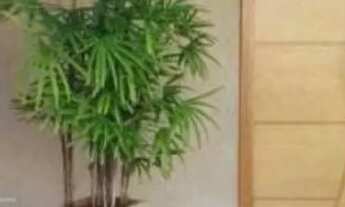 Imagem 7: VENDO CASA EM IPITANGA