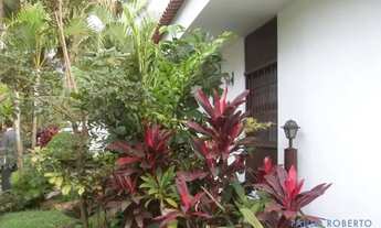 Imagem 7: CASA TÉRREA - ALTO DE PINHEIROS - SP