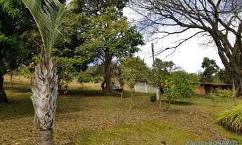 Imagem 3: TERRENO - ITAPETINGA - SP