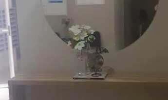 Imagem 2: Apartamento à venda em Pirituba com 44 m², 2 quartos, 1 vaga