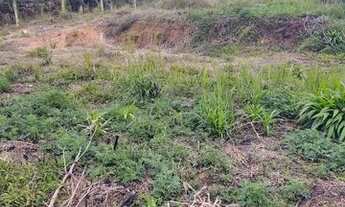 Imagem 5: Vendo área de terra 3500 mtrs a 36 km do trevo do atuba