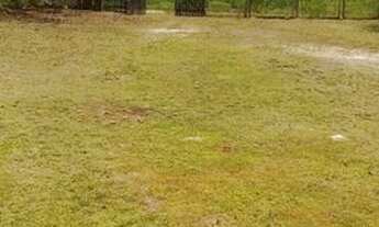 Imagem 2: Vendo ou troco Chácara com venda por R$50.000