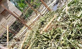 Imagem 4: Terreno Terreno / lote com venda por R$9.000