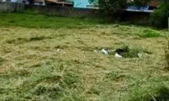 Imagem 6: Terreno à venda por R$ 585000.00, 510.00 m2 - SAO JOAO DO RIO VERMELHO - FLORIANOPOLIS/SC