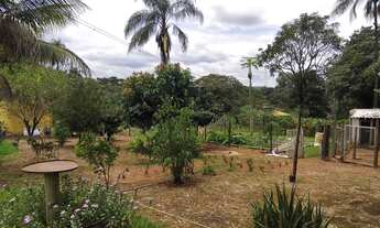 Imagem: Sitio à Venda em Serra Azul