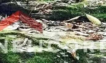 Imagem 3: Sítio em Rua um - Ribeiros - Angatuba/SP